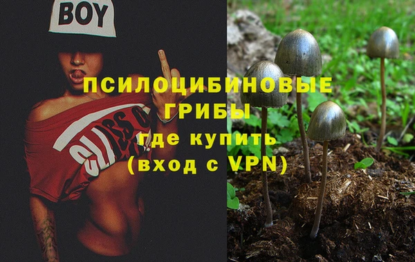 ALPHA PVP Армянск