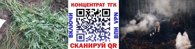 закладка  Ахтубинск  ТГК вейп 