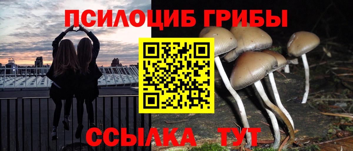 Ахтубинск  Псилоцибиновые грибы Magic Shrooms  Вход с VPN 