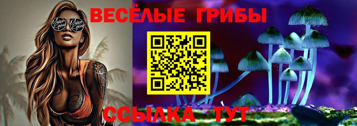 Псилоцибиновые грибы мухоморы Ахтубинск